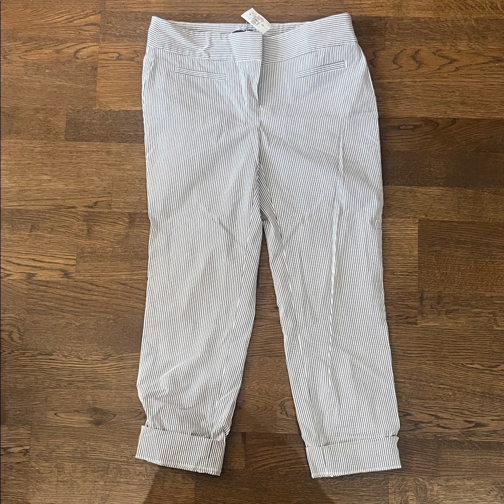 Ann Taylor Navy and White Striped Trousers